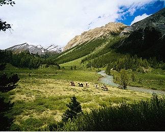 制作人希望《零：濡鸦之巫女》大卖后开发系列全新作